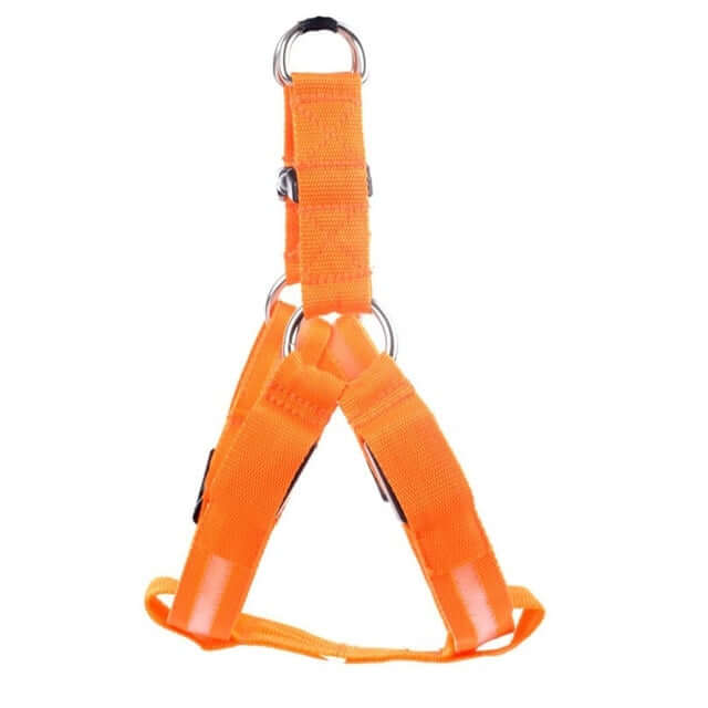 Night Glow Dog Harness With Nylon - Urban Pet Dept.