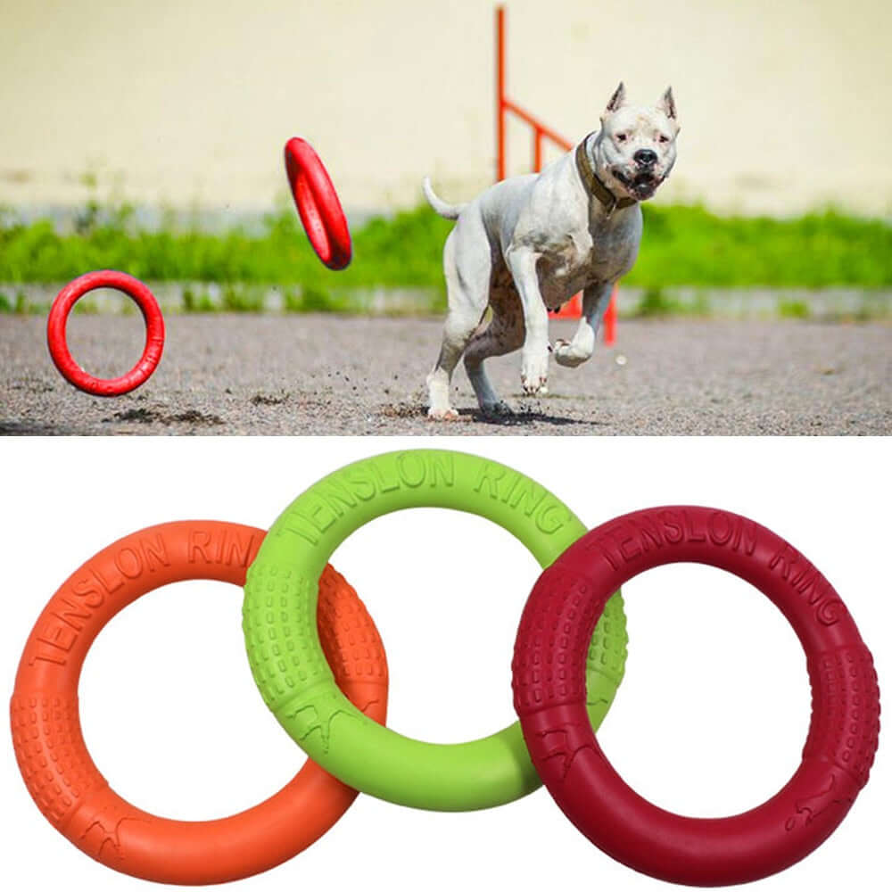 Pawsome Canine Flight Ring eprolo