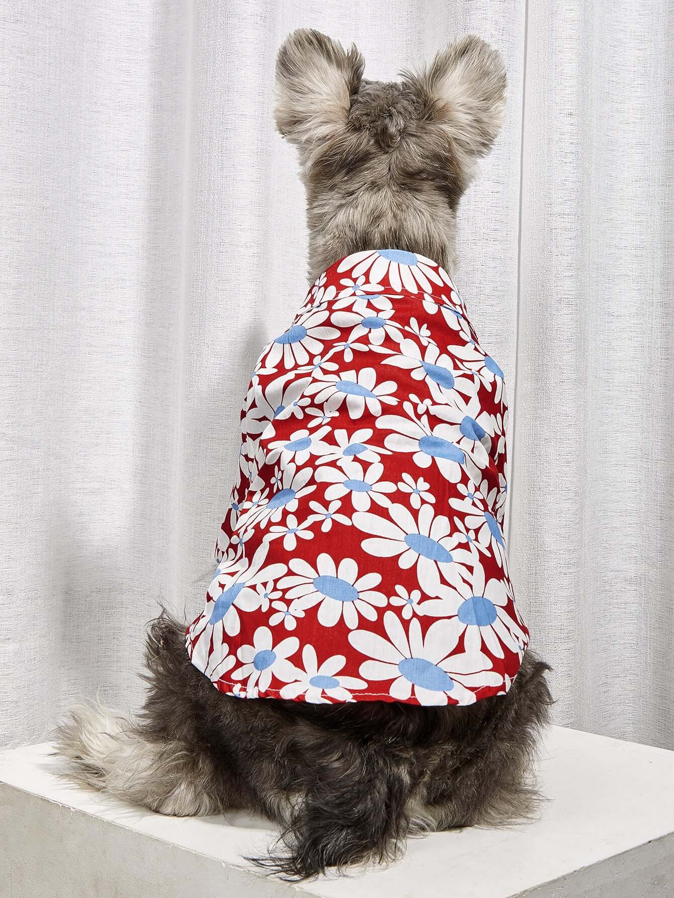 Sunflower Collar Shirt - Urban Pet Dept.