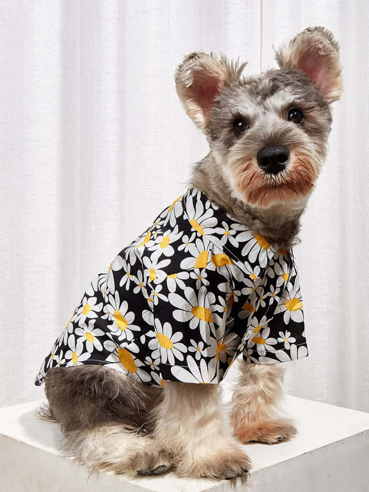 Sunflower Collar Shirt - Urban Pet Dept.
