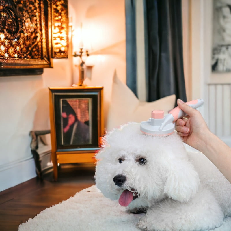 CleanCoat Grooming Comb eprolo