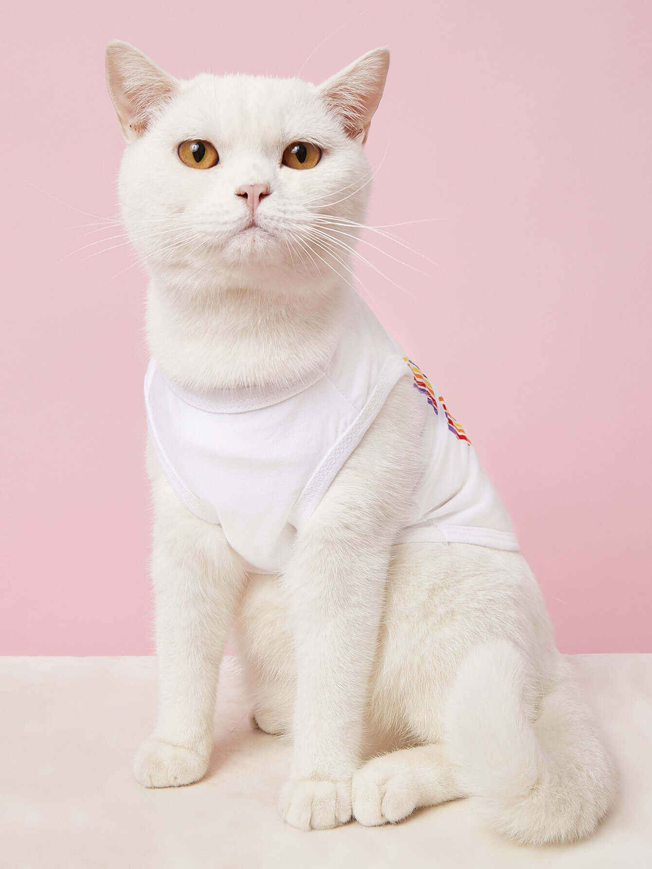 Lovely Paws Tee - Urban Pet Dept.