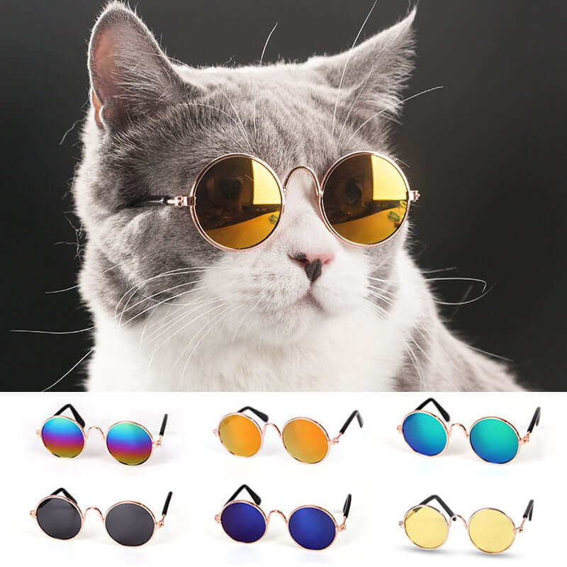 Fur Frames Fashion Glasses for Pets – Stylish Pet Eyewear Accessory