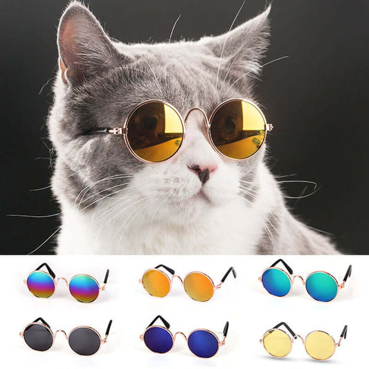 Fur Frames Fashion Glasses for Pets – Stylish Pet Eyewear Accessory