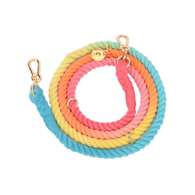 LuxeLeash Multicolor Rope Leash eprolo