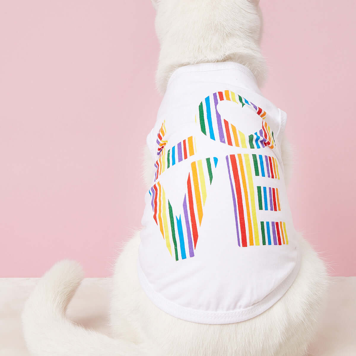 Lovely Paws Tee - Urban Pet Dept.