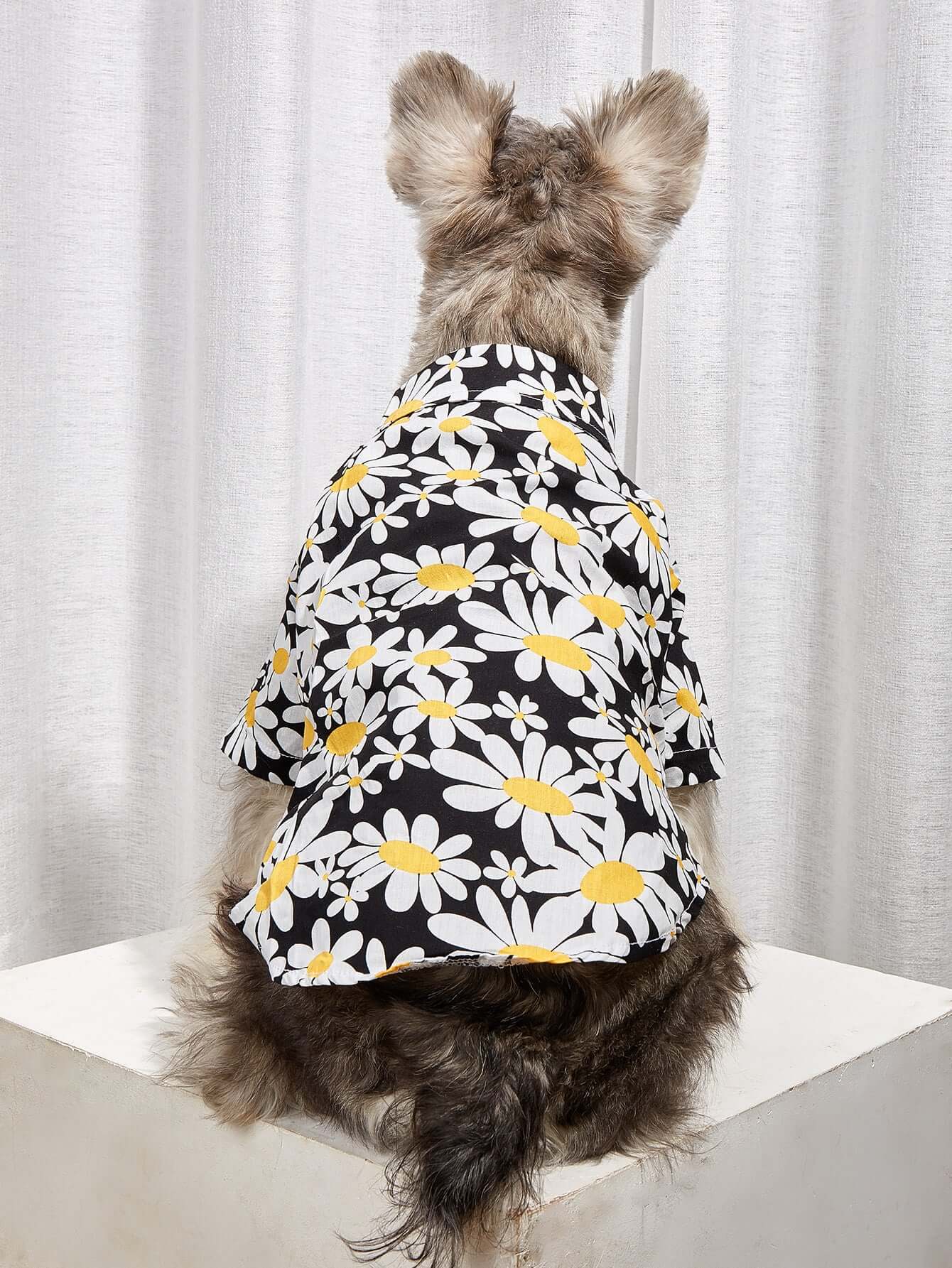 Sunflower Collar Shirt - Urban Pet Dept.
