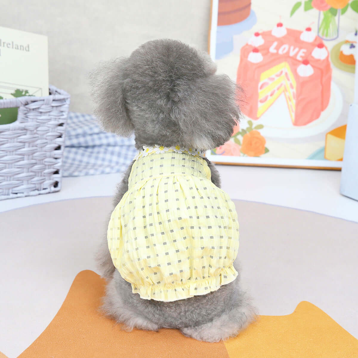 Sun Kissed Sunflower Sun Dress - Urban Pet Dept.
