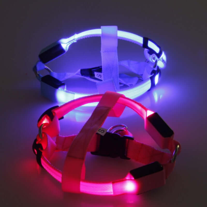 Night Glow Dog Harness With Nylon - Urban Pet Dept.