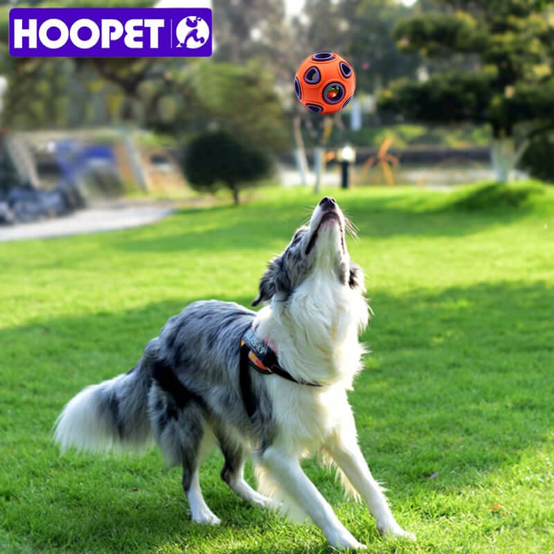 Hoopet Glow/Bell Ball eprolo