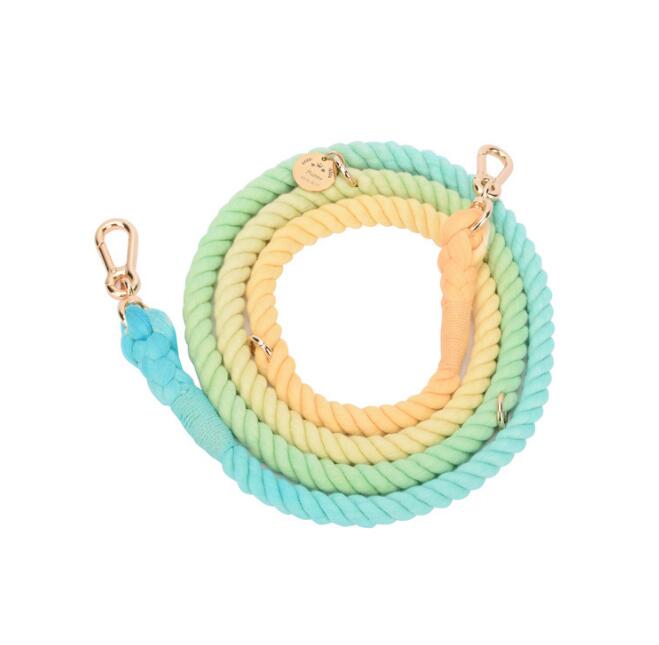 LuxeLeash Multicolor Rope Leash eprolo