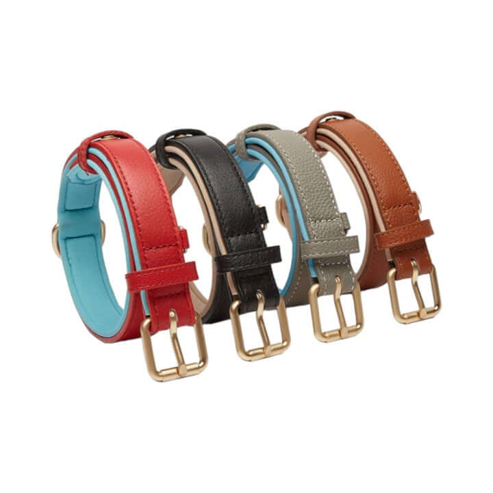 LuxLeash Leather Collar - Urban Pet Dept.