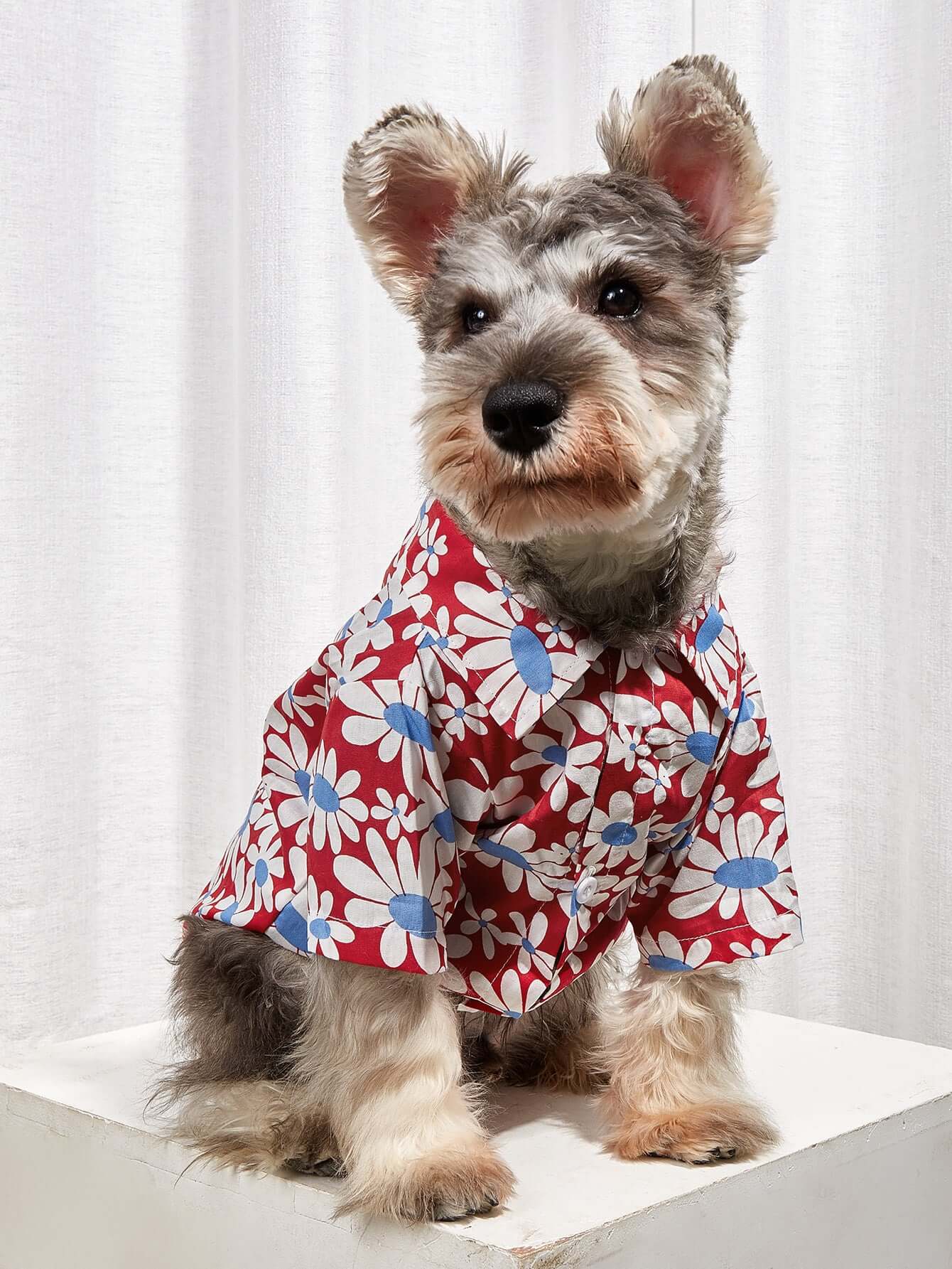 Sunflower Collar Shirt - Urban Pet Dept.