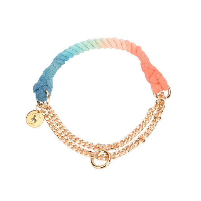 LuxeLeash Multicolor Rope Leash eprolo