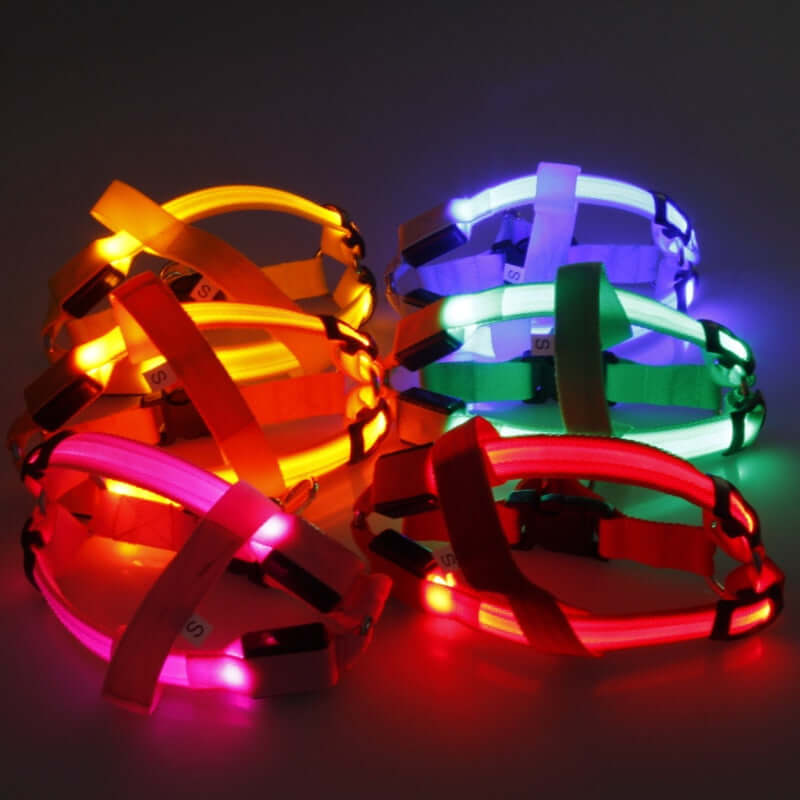 Night Glow Dog Harness With Nylon - Urban Pet Dept.