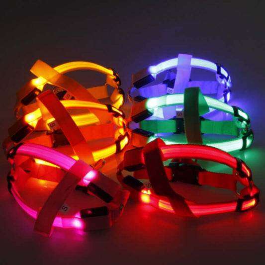 Night Glow Dog Harness With Nylon - Urban Pet Dept.
