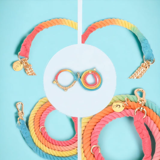 LuxeLeash Multicolor Rope Leash eprolo